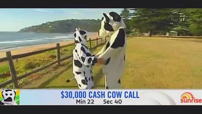 ---Sunrise Cash Cow identity is revealed when head falls off