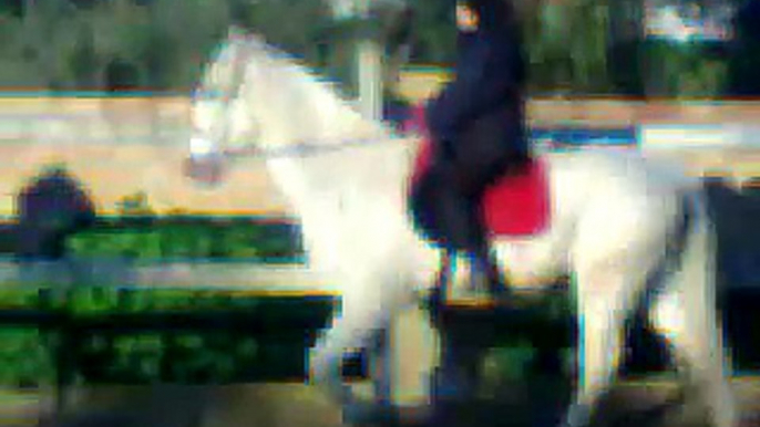 YO MONTANDO A MI CABALLO OTELO AL TROTE Y UN POCO AL GALOPE :D