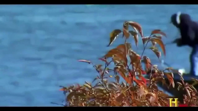 Discovery Channel Río Amazonas PIRAÑA Peces Ataque Humanos Documental de National Geographic 2 - 2016