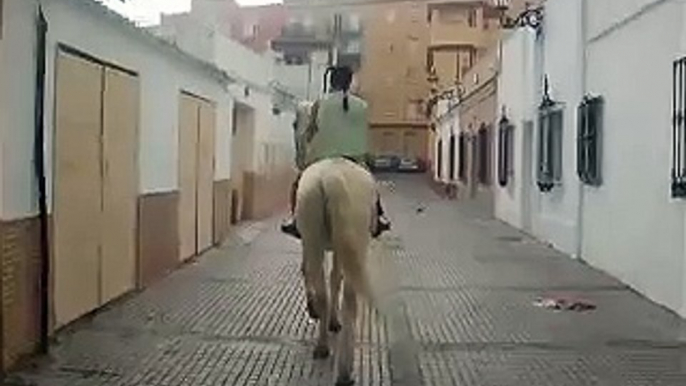 yo disfrazada de pippi con mi caballo por la calle en carnavales con cancion de pippi :D