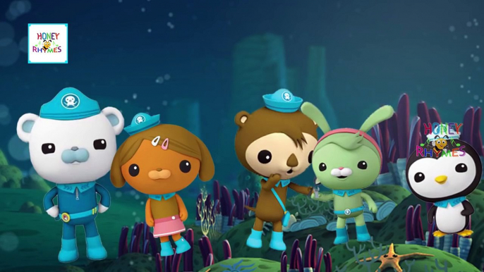 The OCTONAUTS Finger Family Funny Cartoon Songs HD | OCTONAUTS Finger Family Nursery Rhyme