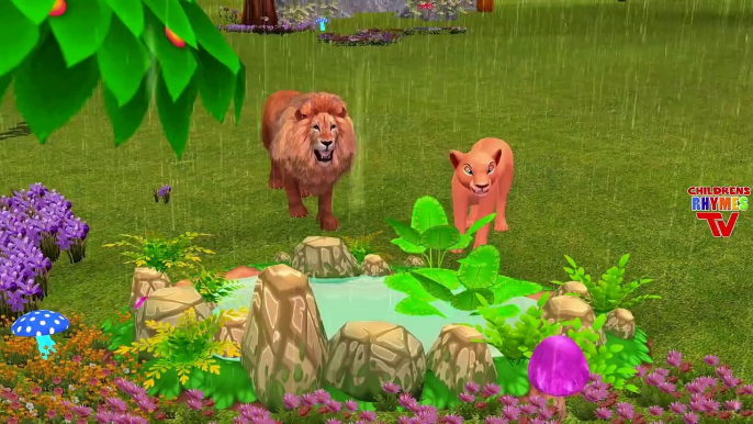 Lion Rain Rain Go Away Nursery Rhymes For Children | Lion Cartoons For Children Rain Rain Go Away