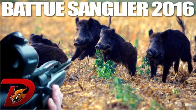 Chasse sanglier : Grande battue aux sangliers partie 1