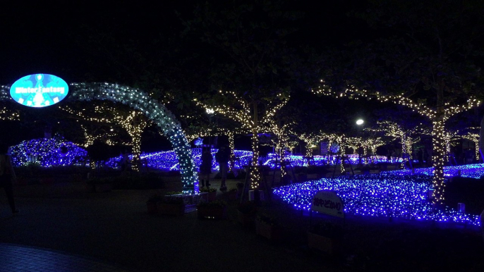 沖縄海洋博公園 イルミネーション