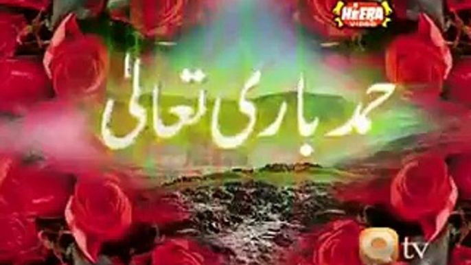 Tu Hai Kamal Maula - Awais Raza Qadri Latest Naats Albums