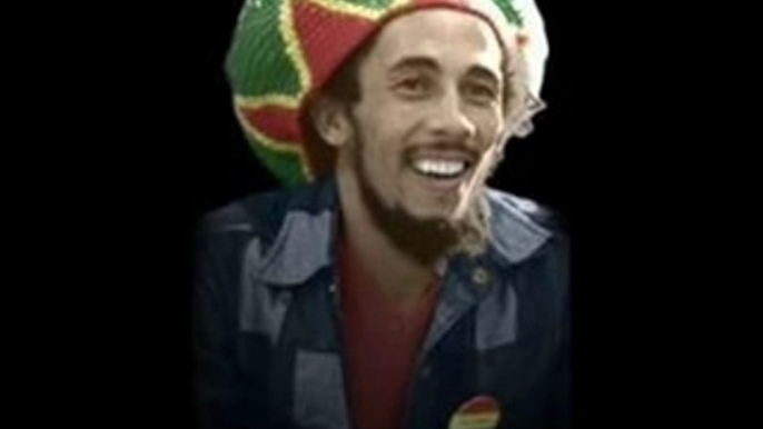 Fan de Bob Marley fan de Reggae