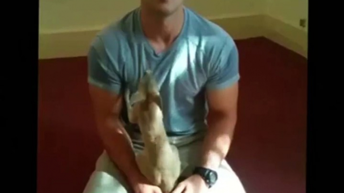 This adopted rescue kangaroo thinks his rescuer is his mum