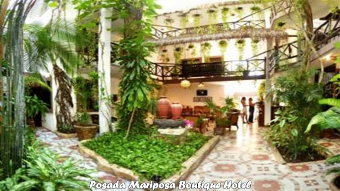 Hotels in Playa del Carmen Posada Mariposa Boutique Hotel Mexico