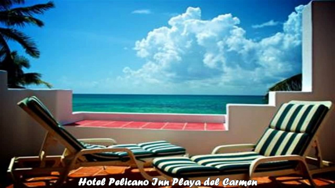 Hotels in Playa del Carmen Hotel Pelicano Inn Playa del Carmen Mexico