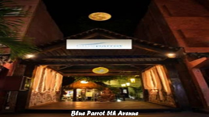 Hotels in Playa del Carmen Blue Parrot 5th Avenue Mexico