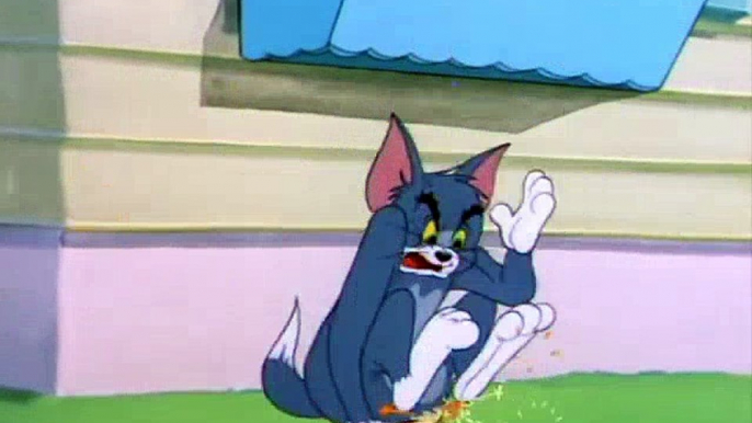 Tom and Jerry - Funny Best Moment's  Tom And Jerry Cartoons