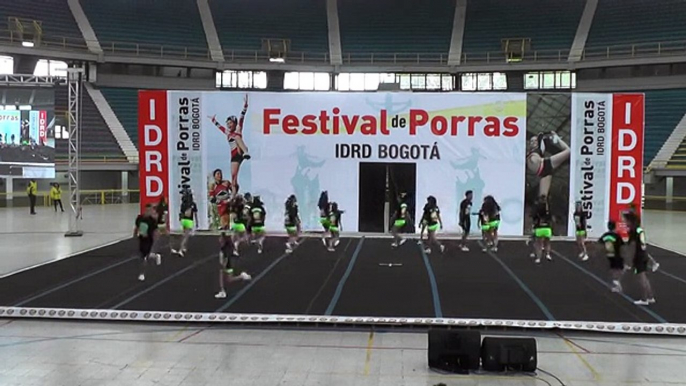 39 Vipers Kids N3 - Festival de Verano IDRD 2015