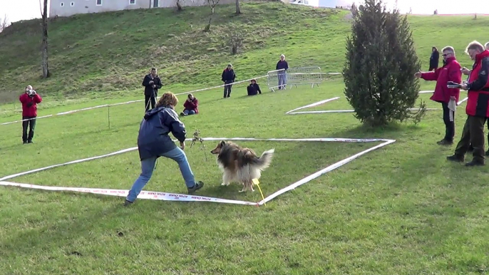 Fée Dorée au Championnat de France de cavage 2016