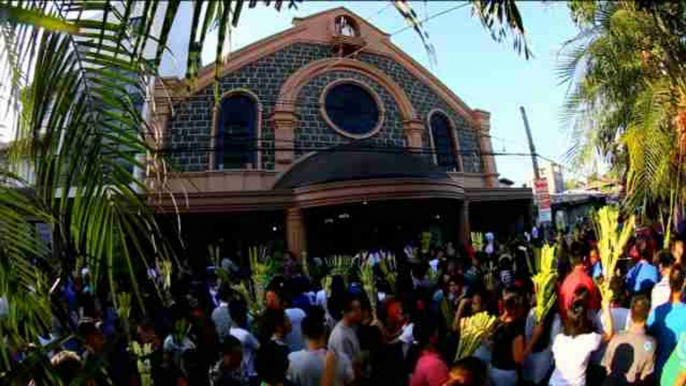 Filipinas celebra el Domingo de Ramos con la procesión de las palmas