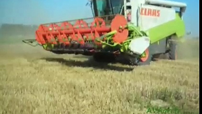 Moisson 2007 avec une CLAAS Lexion 440