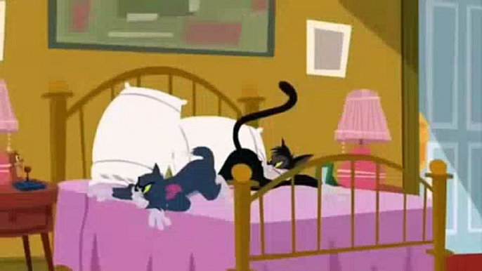 TOM AND JERRY 2015 PART4  Tom And Jerry Cartoons