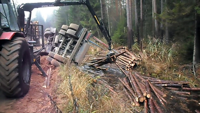 Full trailer of wood turned over, Belarus Mtz 892.2 forestry tractor helps to get up