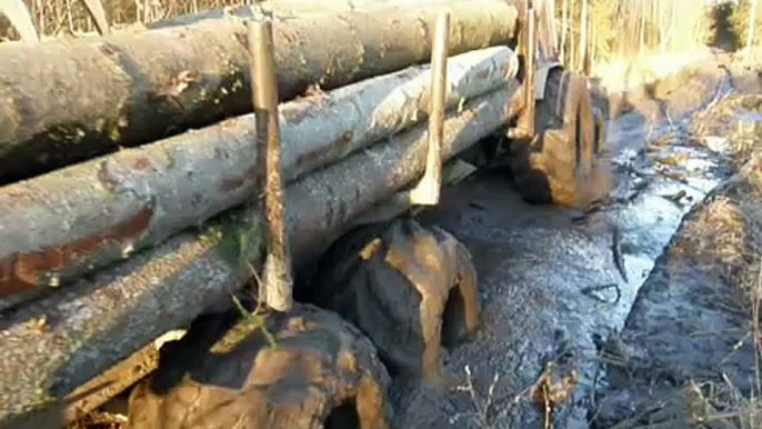 Belarus Mtz 82 forestry tractor, logging in mud