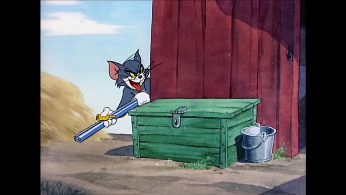 Tom and Jerry, 47 Episode - Little Quacker (1950)