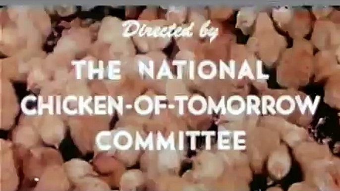 The Chicken of Tomorrow (1948) Educational Film