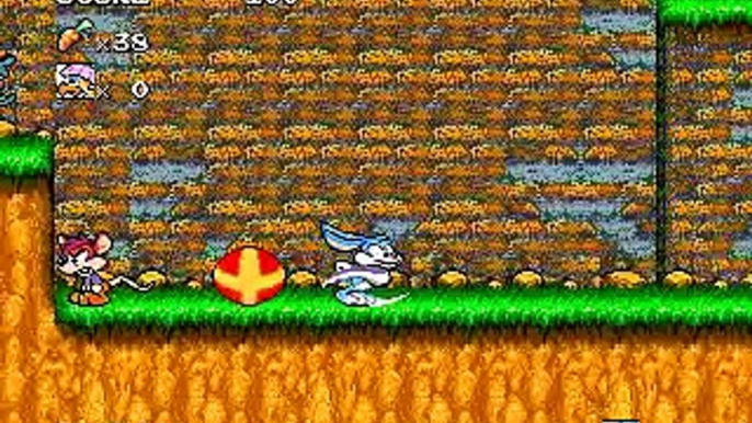 Tiny Toon Adventures game  TINY TOONS Old Cartoons