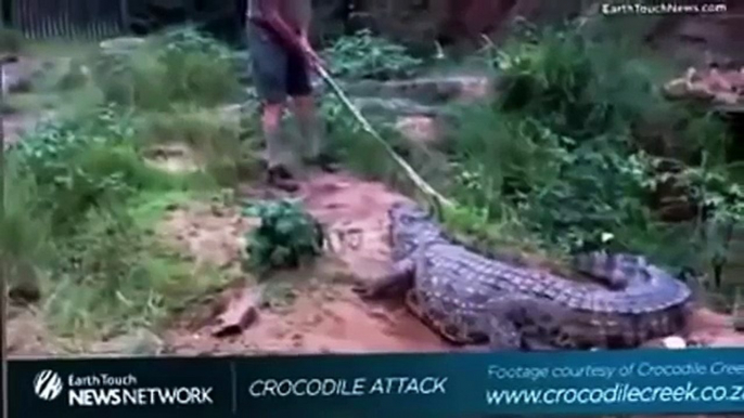when animals attack humans - Most Animal Attacks On Human Compilation - Crocodile attack human