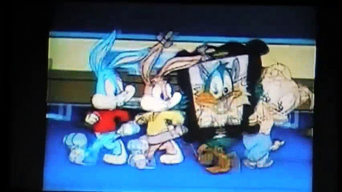 Pooh's Adventures Of Tiny Toon Adventures How I Spent My Vacation 
1  TINY TOONS Old Cartoons