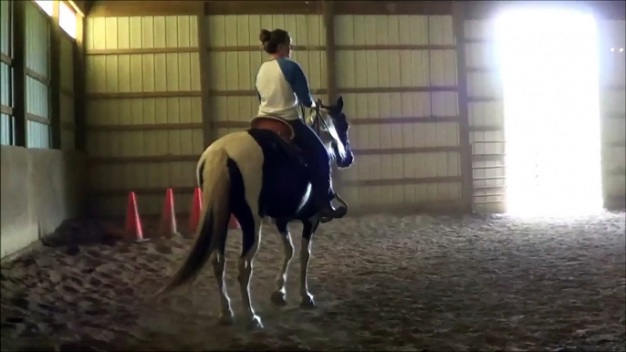 "Melody" Training Horse:  30 Days Starting Under Saddle