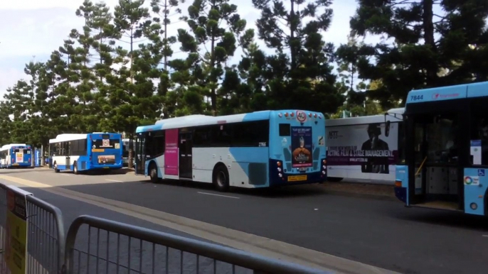 Sydney & NSW Transport Vlogs 129: Olympic Park Buses
