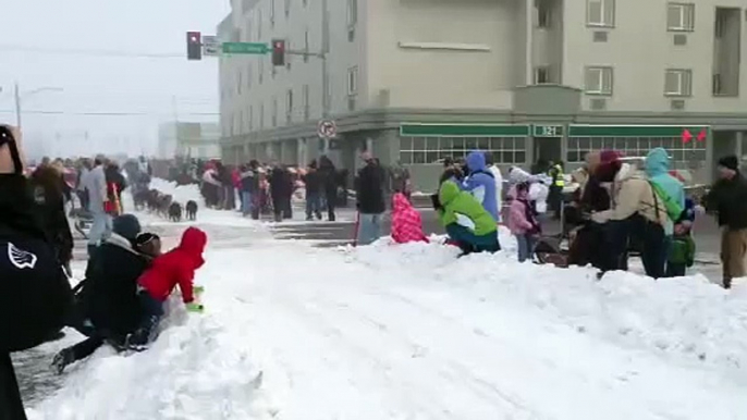 Iditarod sled dog race.