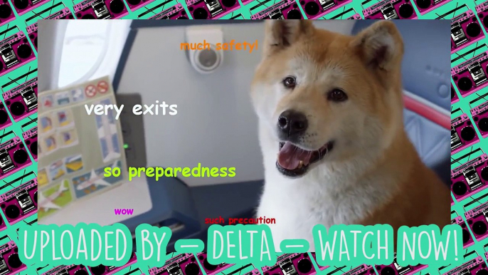 Delta Airlines Internetty Inflight Safety Meme Video Wins the Internet!