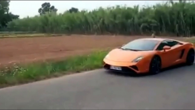 a MiniBike Gets Chased By Lamborghini Gallardo in Thailand | Media Sharing Video