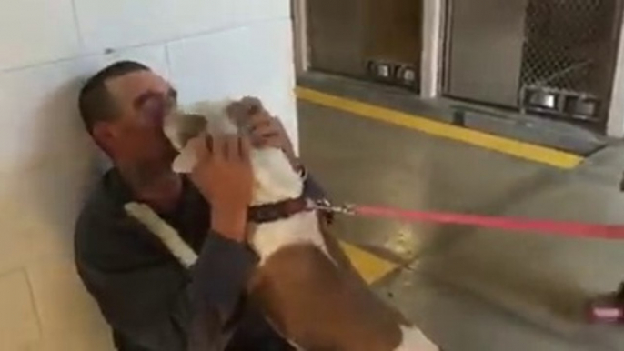 Hanno rapito il suo cane 7 mesi fa, ma quando entra nel canile succede questo...