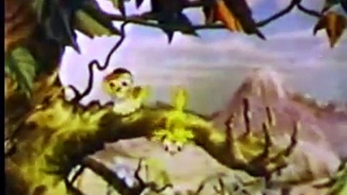 13 Max Fleischer Color Classic Hawaiian Birds (1936) Fleischer Studios cartoons June 2016