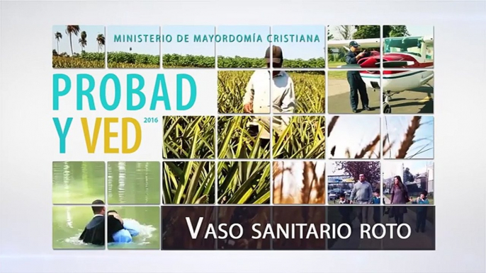 Reflexiones cristianas "Vaso sanitario roto"