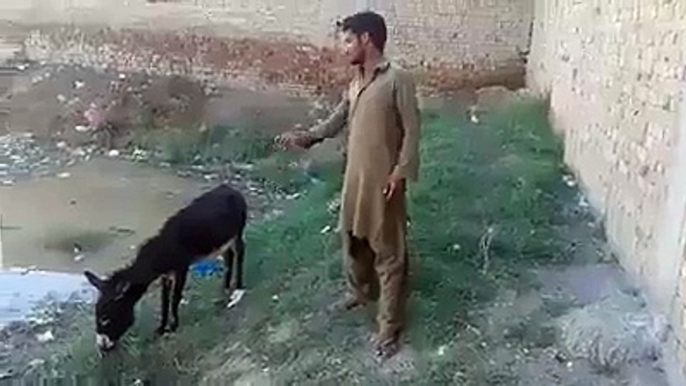 Sachi mahobbat ki ajeb dastan jis mien mahbob apni mahboba ko kisi kemat pe khona nahi chahta tha - Video Dailymotion