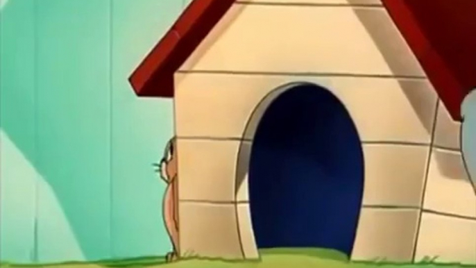 Tom and Jerry Cartoon - Framed Cat (1950)