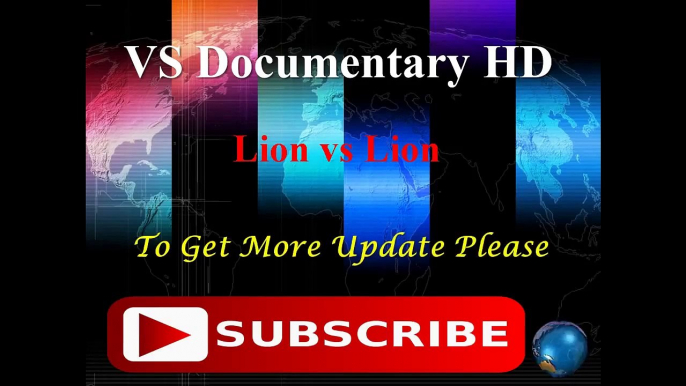 Lion vs Hyena a terrible fight to death - 2015