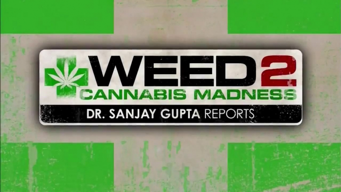 WEED 2: Cannabis Madness, reportage du Dr Sanjay Gupta (CNN) (2014) (STFR)