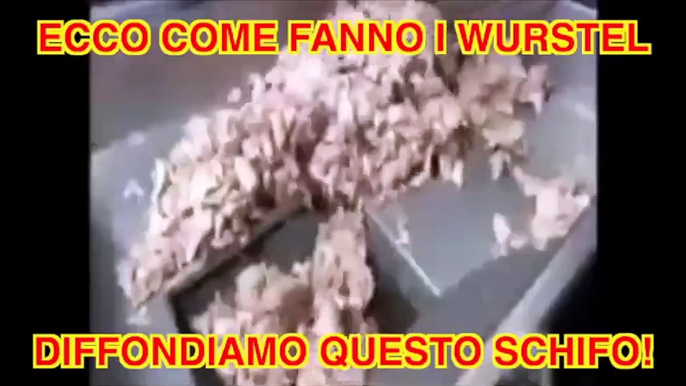 ECCO COME VENGONO FATTI I WURSTEL, UN VERO SCHIFO!