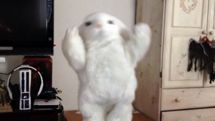 Russell The Rabbit Dances To Harlem Shake