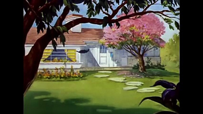 Tom and Jerry, 23 Episode - Springtime for Thomas (1946)