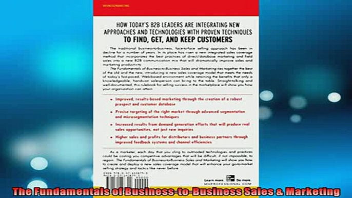 READ book  The Fundamentals of BusinesstoBusiness Sales  Marketing  FREE BOOOK ONLINE