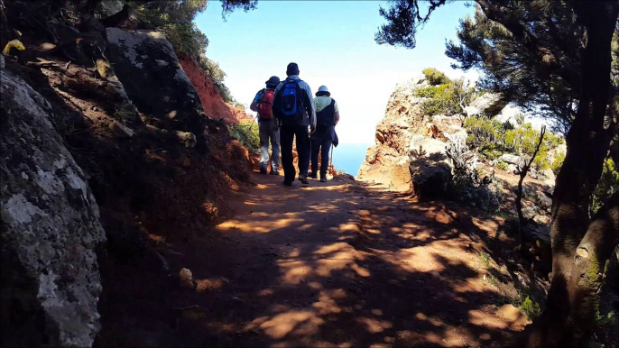 Paseando en Tenerife Senderos