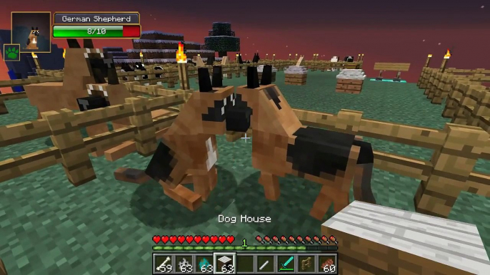 PopularMMOs Minecraft: DOGGYSTYLE MOD (DOG BREEDS, DOG HOUSE, & MORE!) Mod Showcase