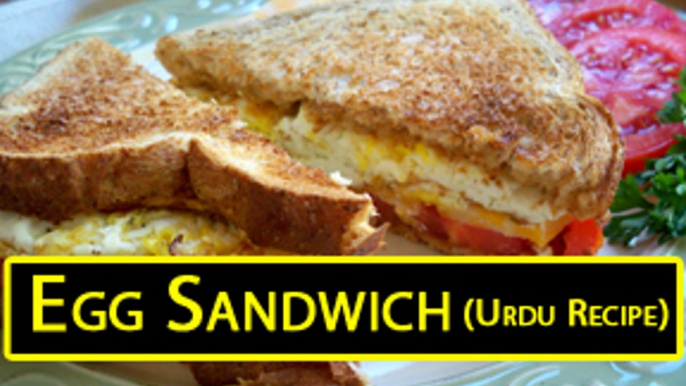 How to Make an Egg Sandwich - Egg Sandwich Recipe In Urdu - Egg Sandwich - Urdu Recipes