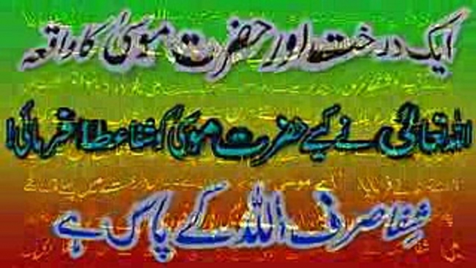 Ek Darakht Aur Hazrat Musa (A.S) Ka Waqia _ Shifa ALLAH Ke Pas Hai