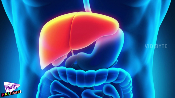 Fatty Liver : Symptoms, Causes and Treatment || Body Health