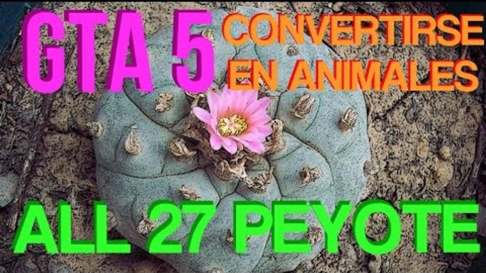 GTA 5 - Coleccionables: Localización 27 Plantas de Peyote - All 27 Peyote Plant Locations