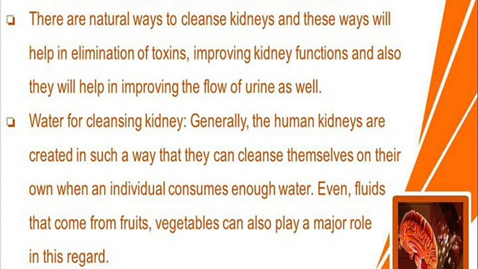 Best Natural Ways To Cleanse Kidneys To Improve Its Functioning